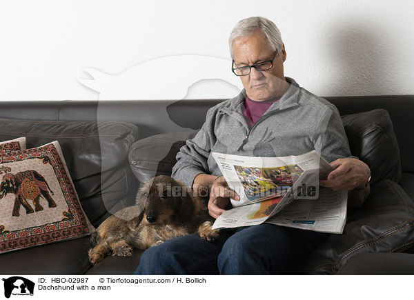 Dackel mit Mann / Dachshund with a man / HBO-02987