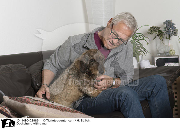 Dackel mit Mann / Dachshund with a man / HBO-02989