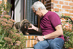 Dachshund with a man