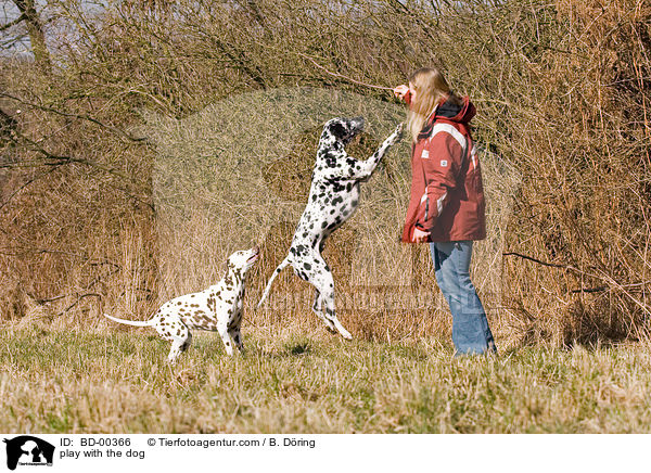 spielen mit dem Hund / play with the dog / BD-00366