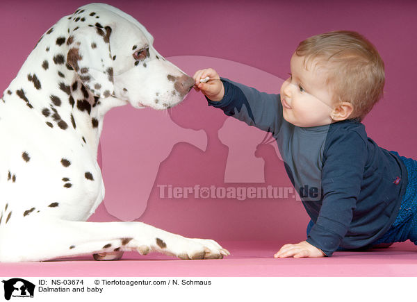Dalmatiner und Baby / Dalmatian and baby / NS-03674