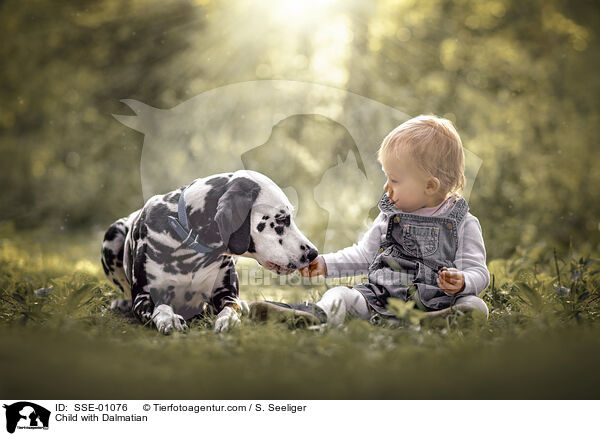 Kind mit Dalmatiner / Child with Dalmatian / SSE-01076