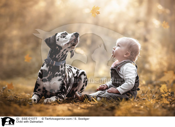 Kind mit Dalmatiner / Child with Dalmatian / SSE-01077