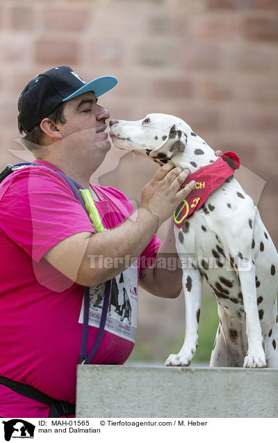 Mann und Dalmatiner / man and Dalmatian / MAH-01565