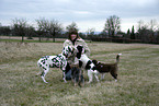 young woman with dogs