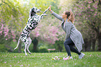 woman and Dalmatian