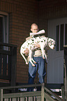 Man carries Dalmatian with spondylosis