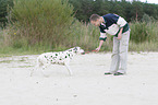 man plays with dalmatian