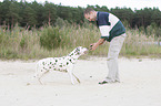 man plays with dalmatian