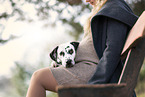 woman and Dalmatian