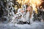 Dalmatian in winter