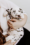 Dalmatian Puppy