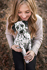 Dalmatian Puppy