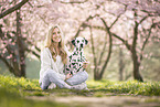 Dalmatian