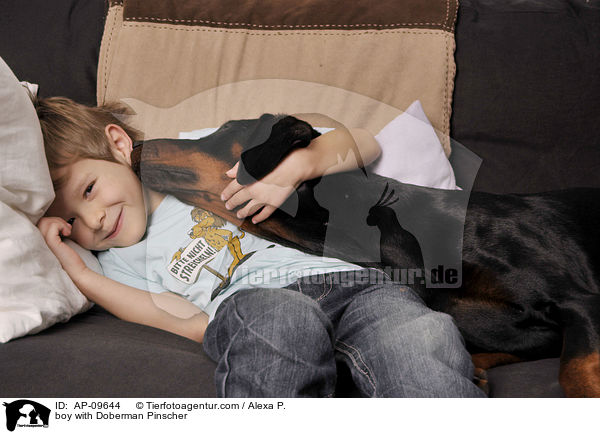 Junge mit Dobermann / boy with Doberman Pinscher / AP-09644