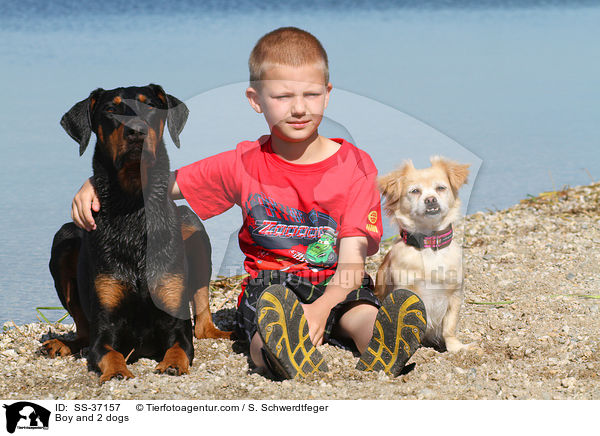 Junge und 2 Hunde / Boy and 2 dogs / SS-37157