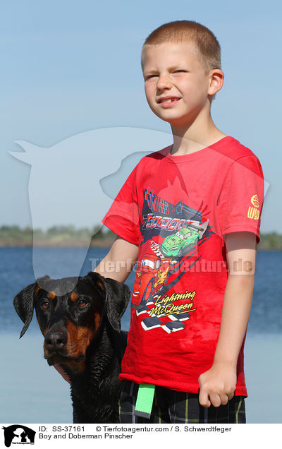 Junge und Dobermann / Boy and Doberman Pinscher / SS-37161