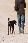 man with Doberman