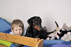 boy with Doberman Pinscher