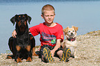 Boy and 2 dogs