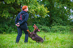 woman and Doberman Pinscher