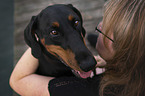 woman and Dobermann Pinscher