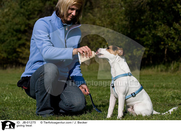 Leckerchen geben / giving treat / JB-01275