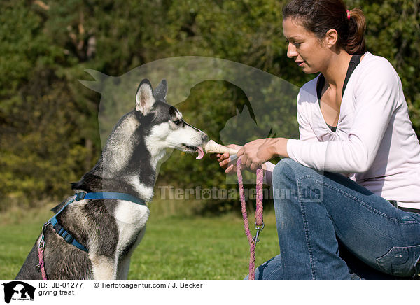 Leckerchen geben / giving treat / JB-01277