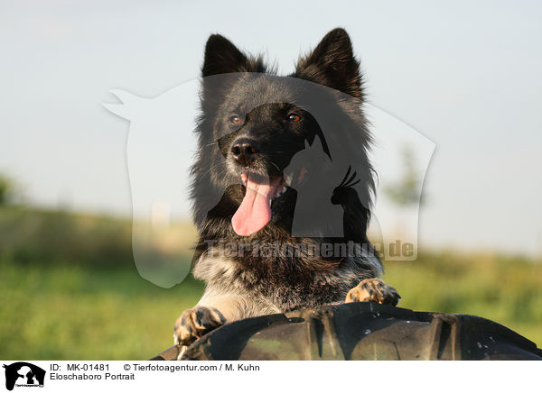 Eloschaboro Portrait / Eloschaboro Portrait / MK-01481