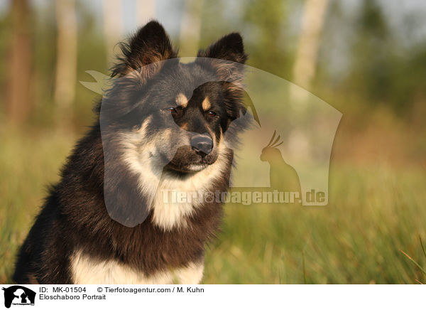 Eloschaboro Portrait / Eloschaboro Portrait / MK-01504