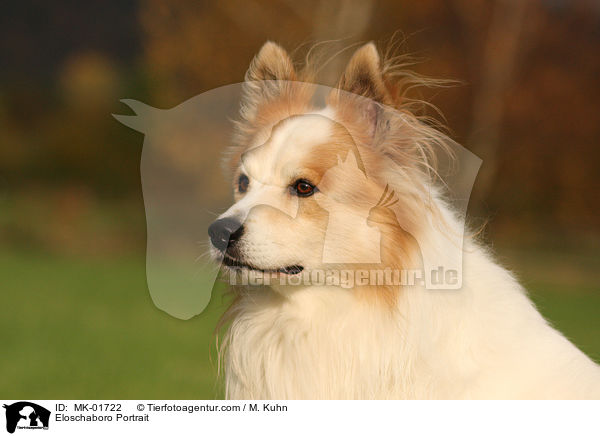 Eloschaboro Portrait / Eloschaboro Portrait / MK-01722