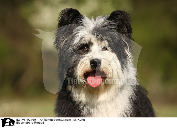 Eloschaboro Portrait / Eloschaboro Portrait / MK-02160