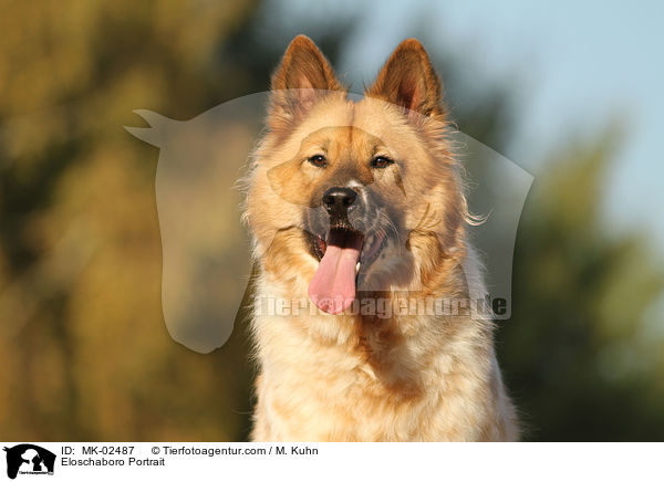 Eloschaboro Portrait / Eloschaboro Portrait / MK-02487