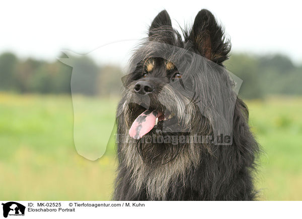Eloschaboro Portrait / Eloschaboro Portrait / MK-02525