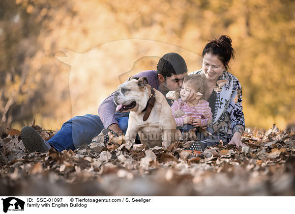 Familie mit Englische Bulldogge / family with English Bulldog / SSE-01097