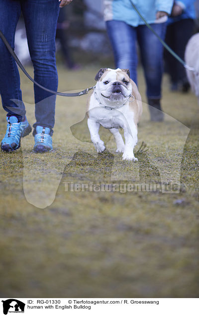 Mensch mit Englische Bulldogge / human with English Bulldog / RG-01330