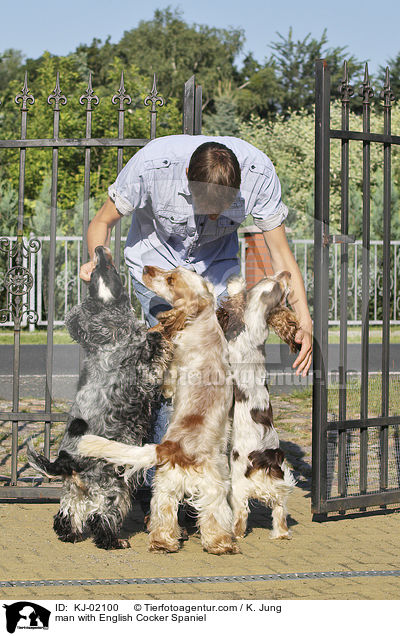 Mann mit English Cocker Spaniel / man with English Cocker Spaniel / KJ-02100