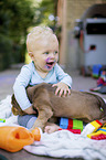 young boy with puppy