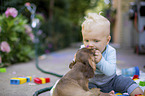 young boy with puppy