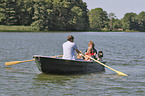 humans with English Cocker Spaniel