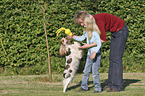 humans with English Cocker Spaniel