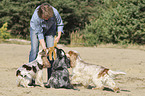 woman with English Cocker Spaniel