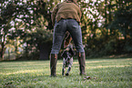 female English Cocker Spaniel