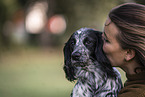 female English Cocker Spaniel