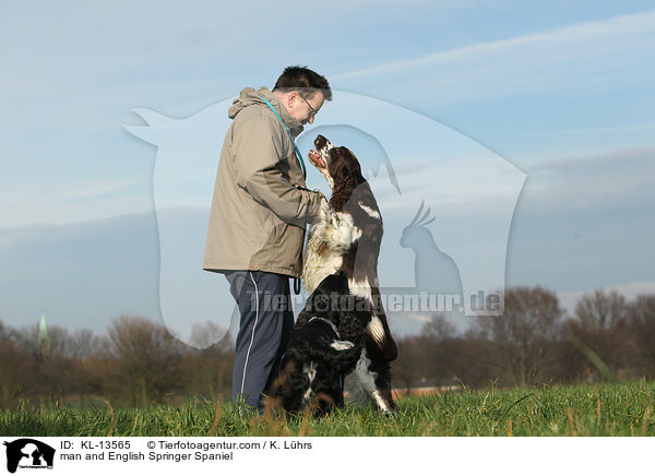 Mann und English Springer Spaniel / man and English Springer Spaniel / KL-13565