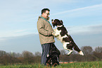 man and English Springer Spaniel