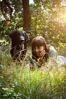 sitting Flat Coated Retriever