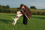 jumping Fox Terrier