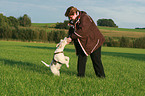 playing Fox Terrier