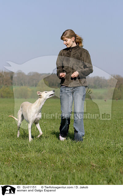 Frau und Galgo Espanol / woman and Galgo Espanol / DJ-01151